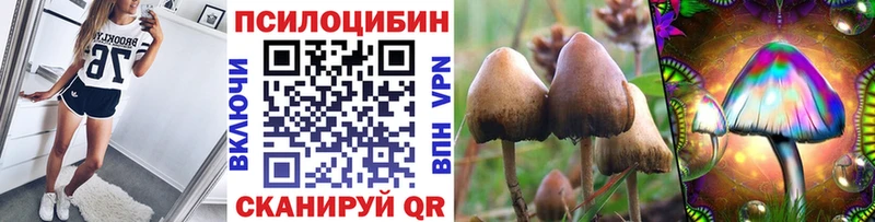 Галлюциногенные грибы MAGIC MUSHROOMS  Бабаево 